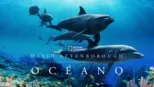 thumbnail - David Attenborough: Océano